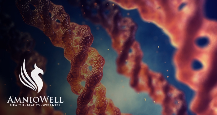 regenerative medicine DNA RNA amniowell